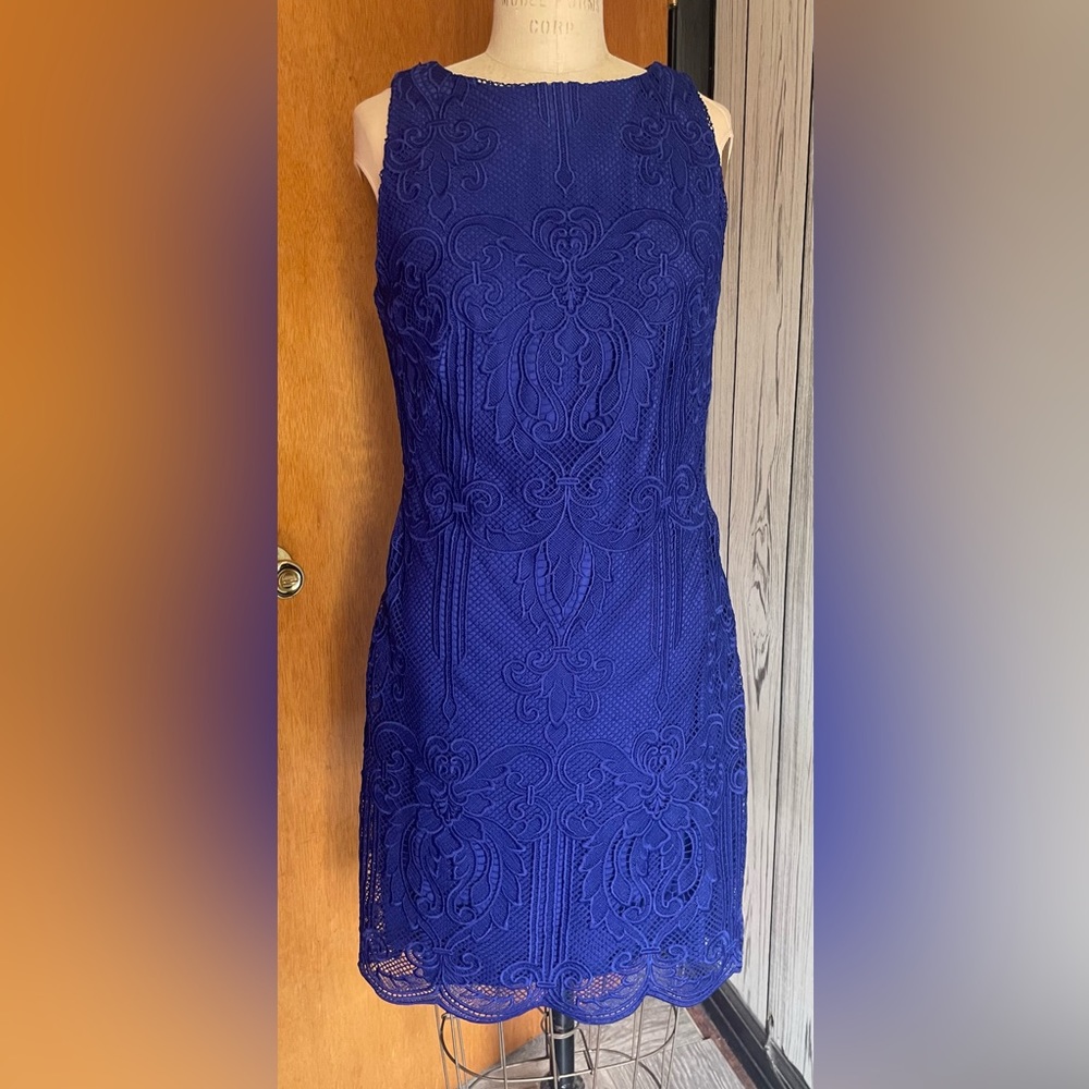 Lauren electric blue lace sleeveless dress in size 8